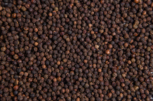 Black Pepper